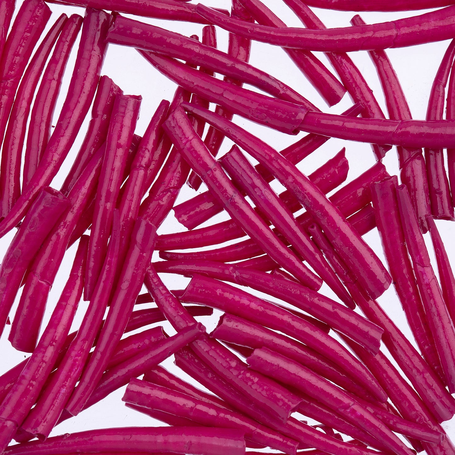 Fuchsia Smooth Dentalium Shell (Canada Only)