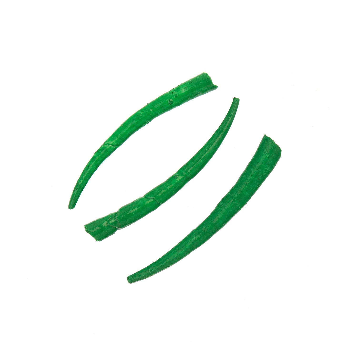 Green Smooth Dentalium Shell (Canada Only)