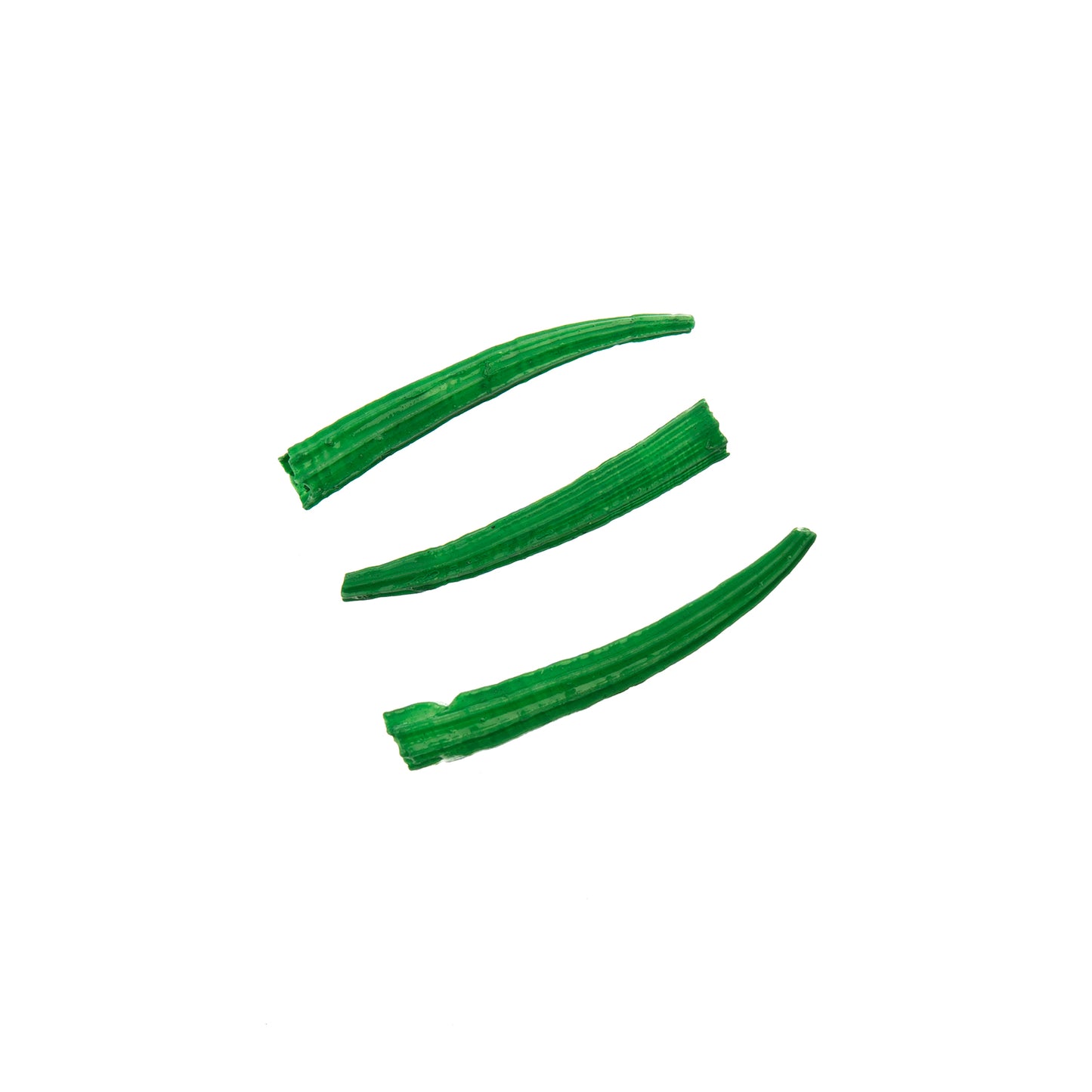 Green Dentalium Shell Ridged (Canada Only)