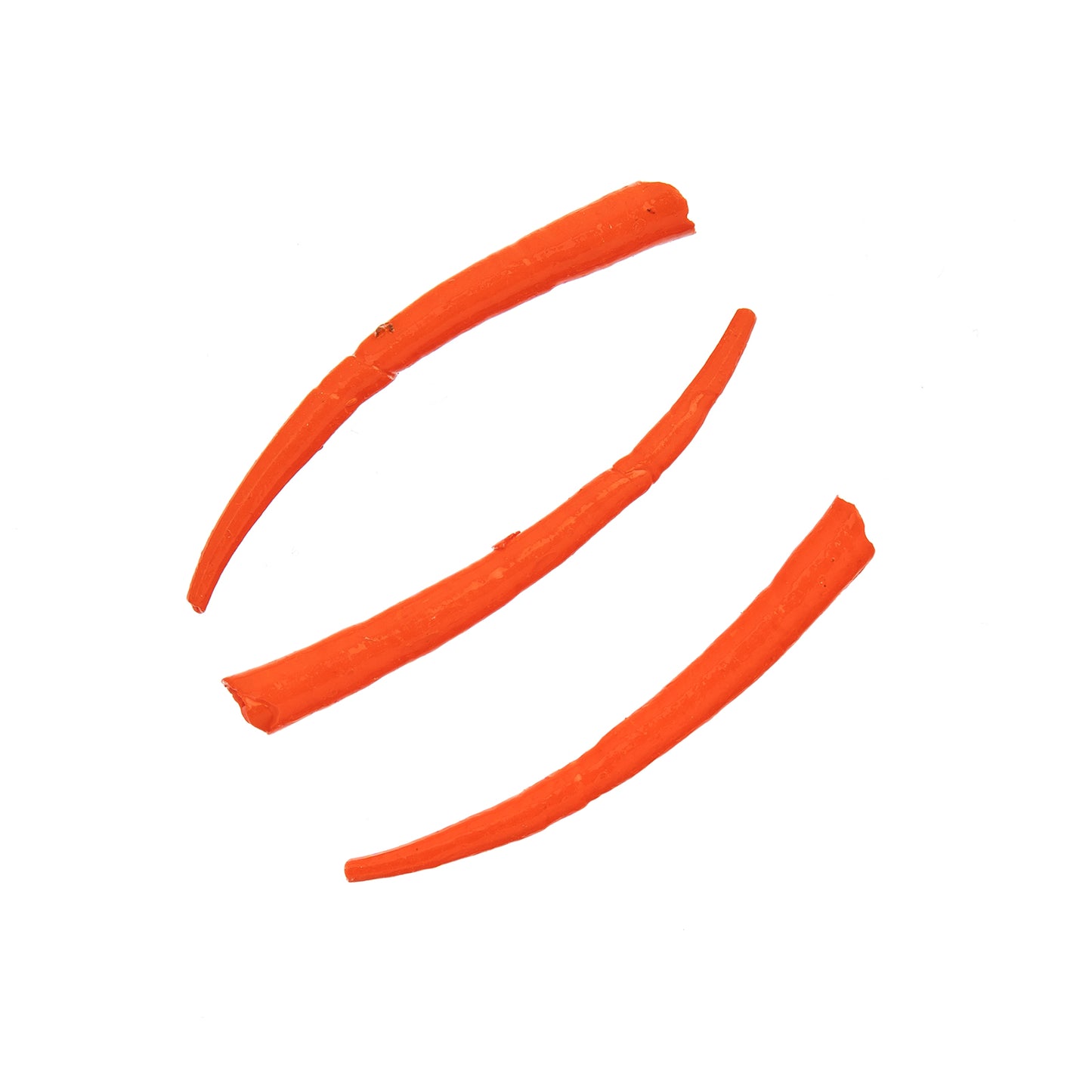 Orange Smooth Dentalium Shell (Canada Only)