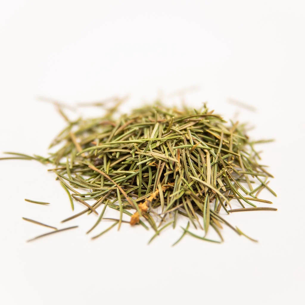 Sweet Pine