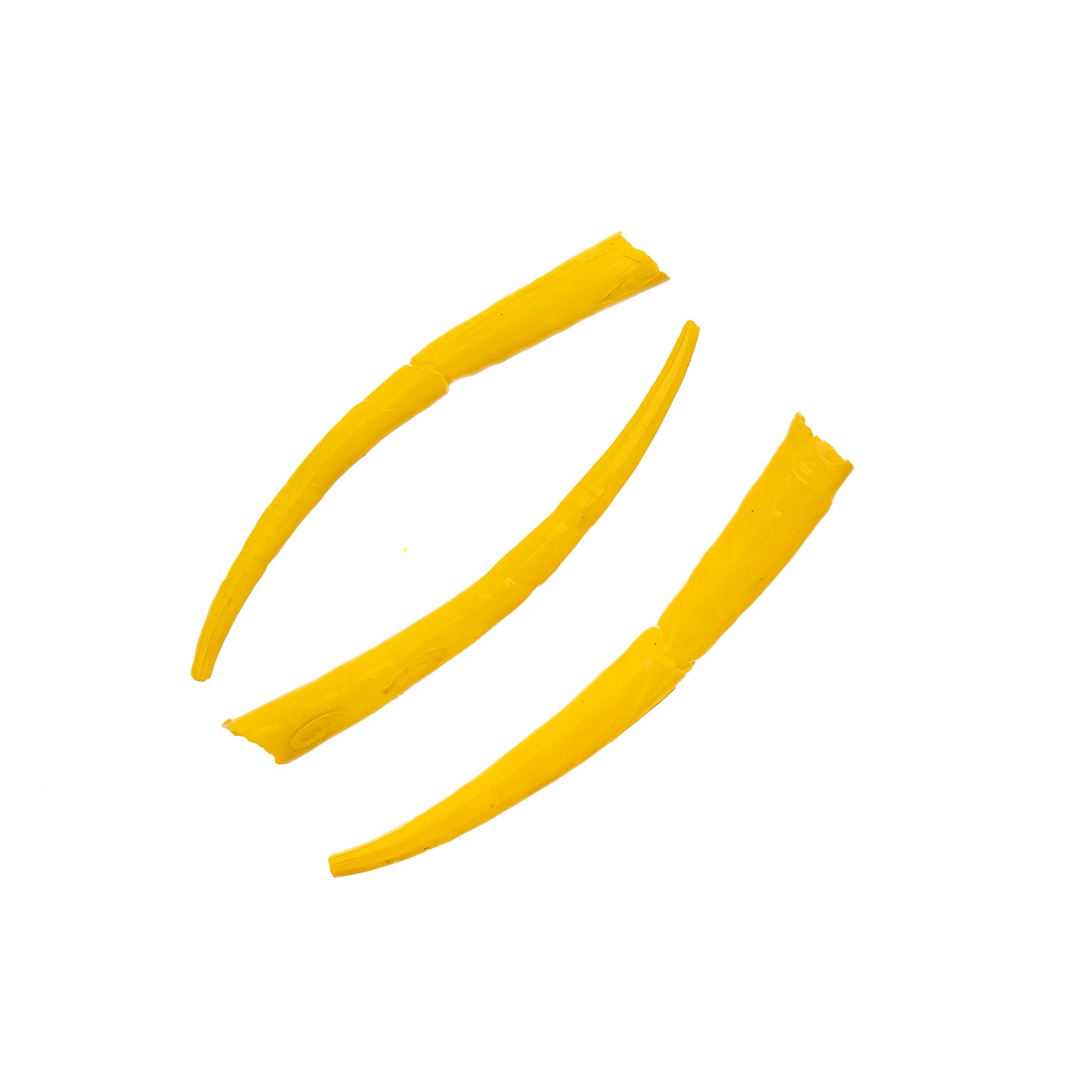 Yellow Dentalium Shell Ridged (Canada Only)