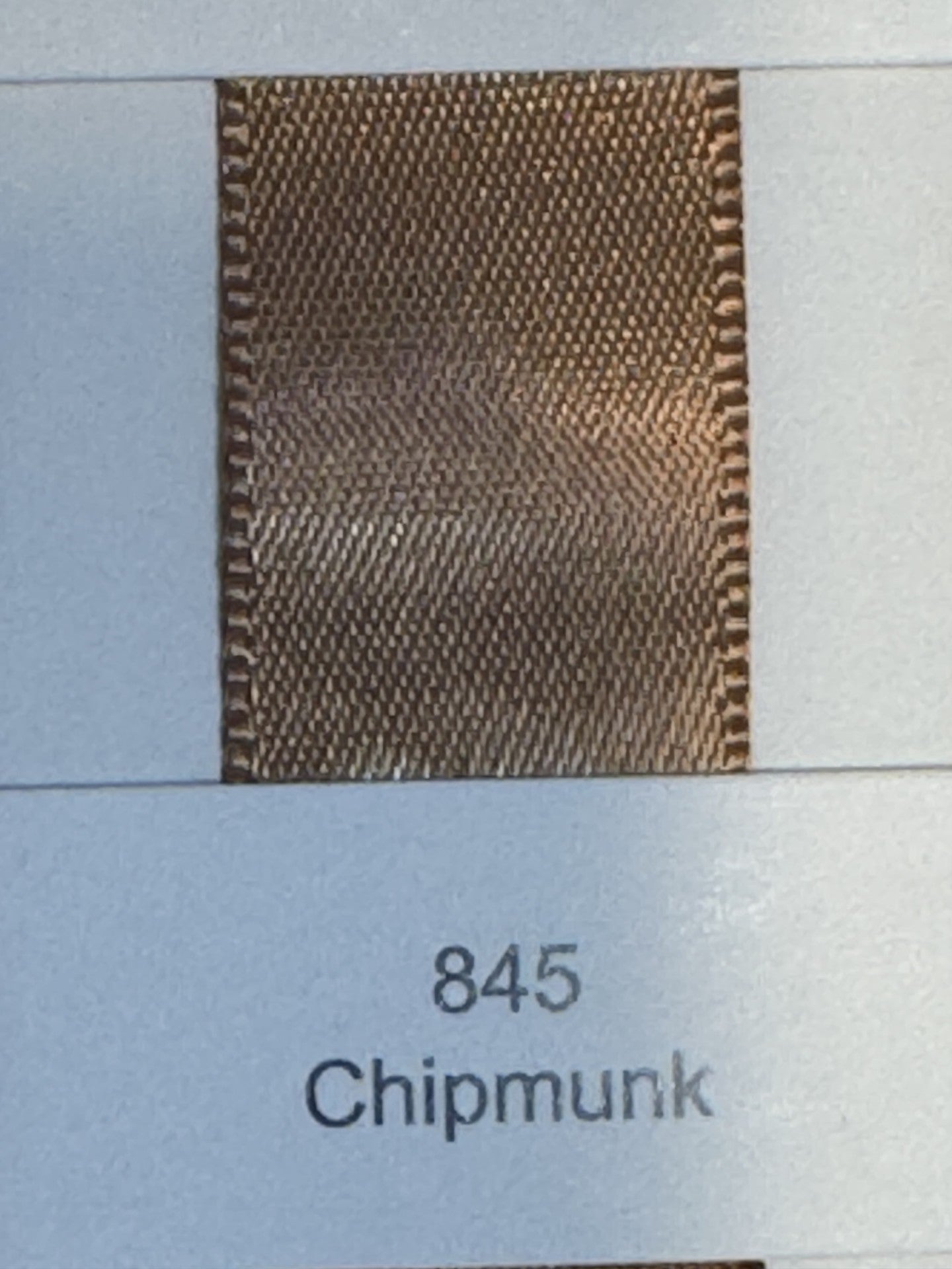 3/8" Ribbon Solid (Chipmunk)