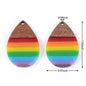 Rainbow Resin Wood Pendant Set (Sold as a pair)