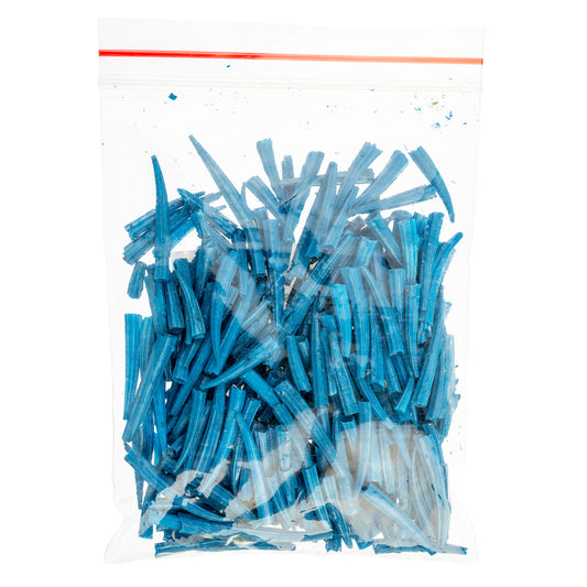 Blue Dentalium Shell Ridged (Canada Only)