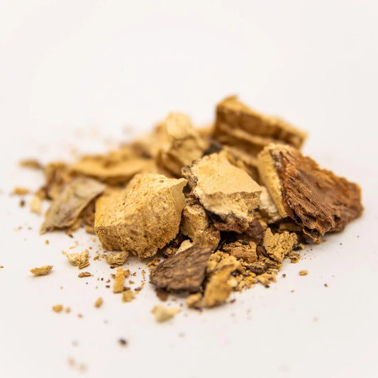 Diamond Willow Fungus