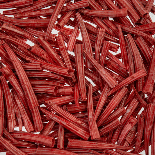 Red Dentalium Shell Ridged (Canada Only)