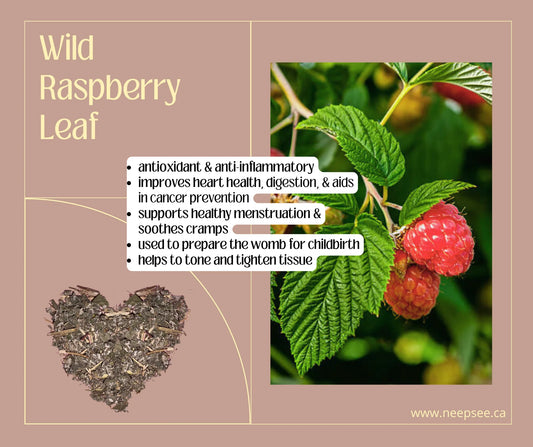 Wild Raspberry (leaf)