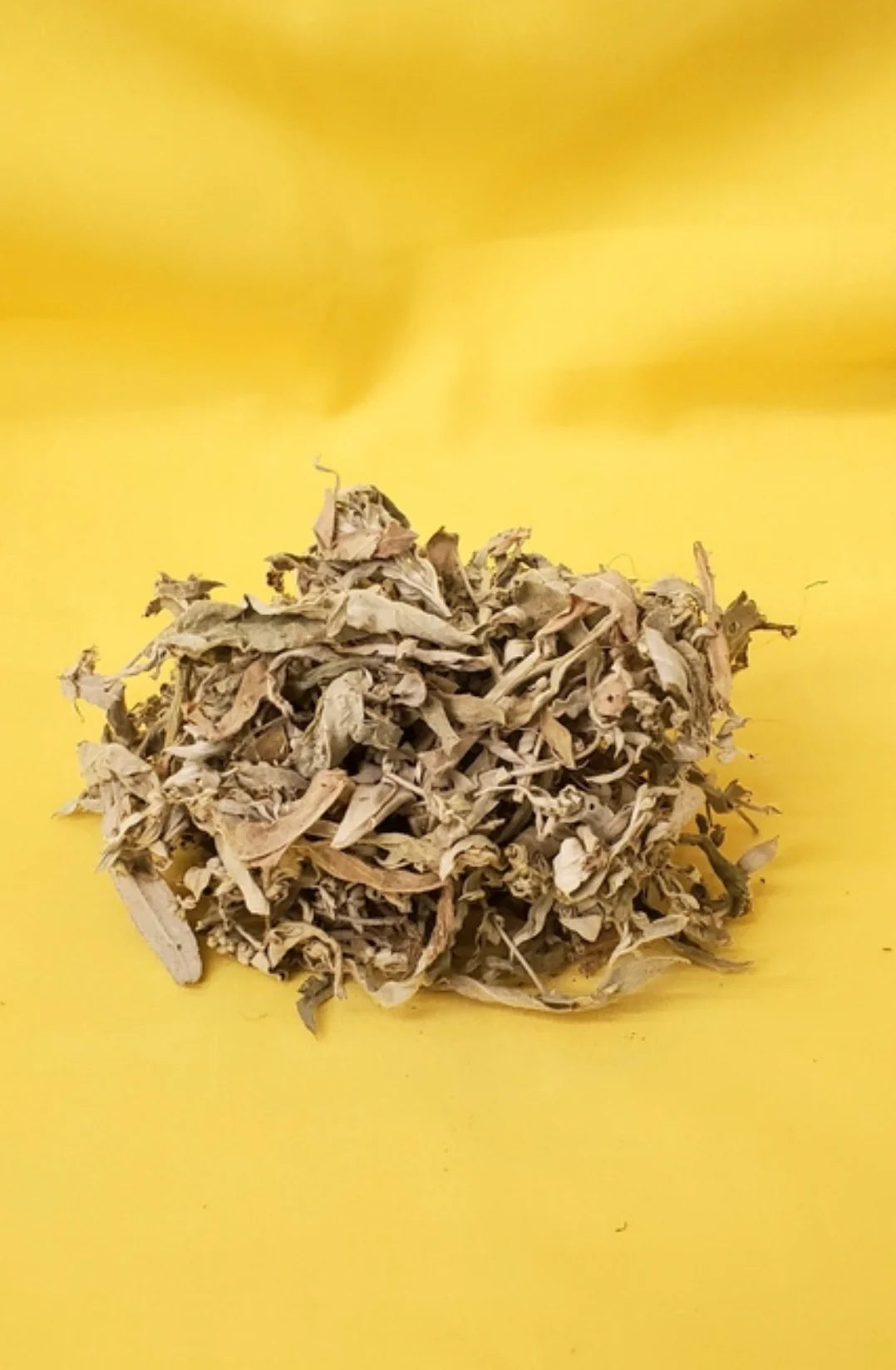 Horse Sage