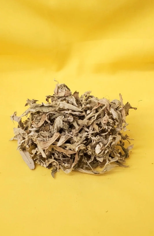 Horse Sage