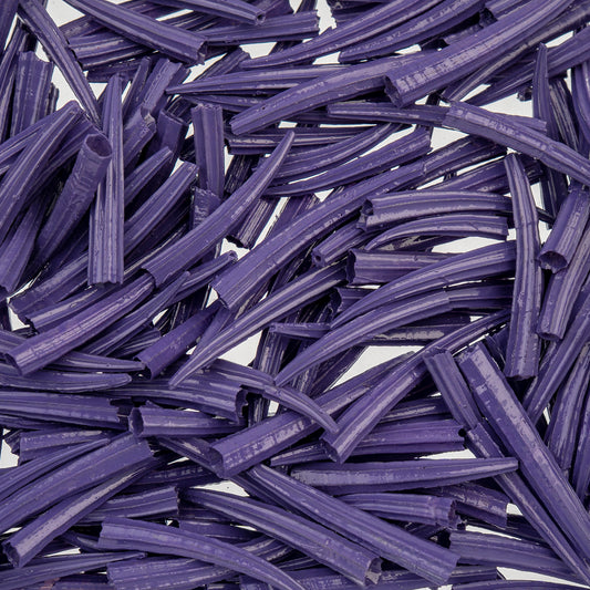 Purple Dentalium Shell Ridged (Canada Only)